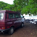 camping in the mangroves