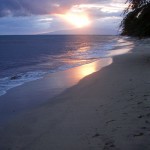 the beach at sunset